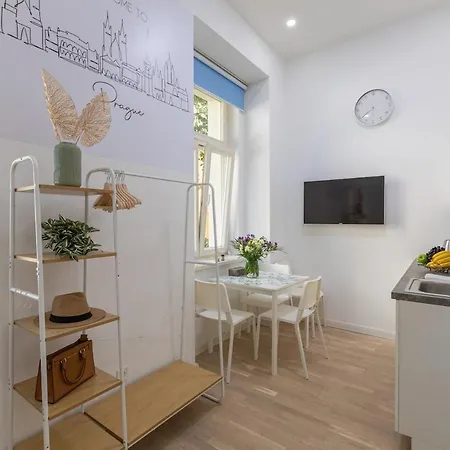 Newly Renovated Flat With A Loft شقة براغ