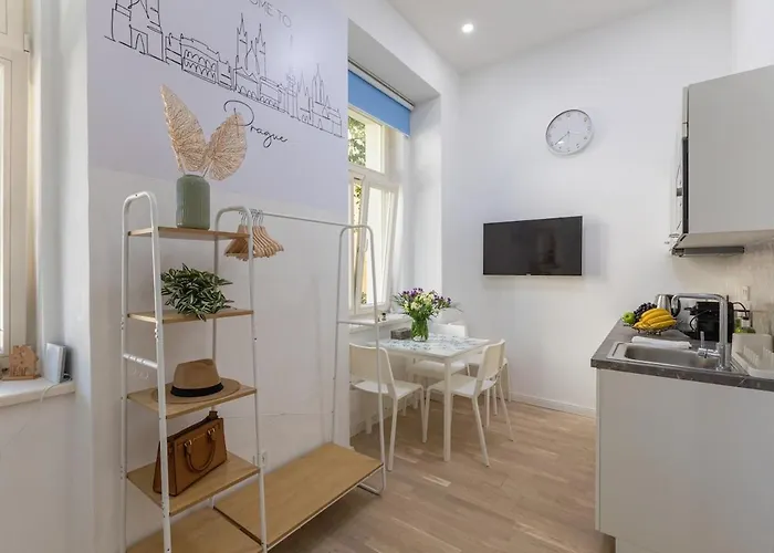 Newly Renovated Flat With A Loft Daire Prag